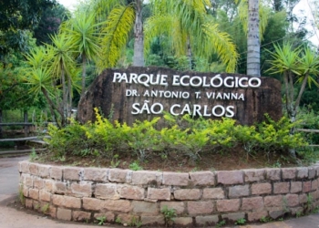 Servidores Do Parque Ecológico Podem Parar Por Falta De Condições De Trabalho E De Pagamentos Das Horas Extras
